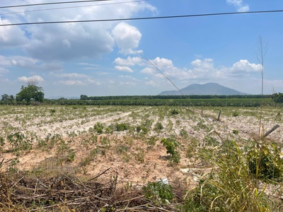 Bán 50m đất mặt tiền mai thúc loan, tân hải, lagi giá ngộp 160tr/m ngang 2