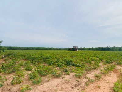 Bán 5 mẫu đất thổ cư đường nhựa thắng hải, hàm tân giá ngộp 380tr/ sào 2