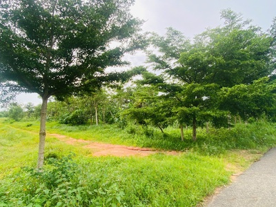 Bán 5 mẫu đất thổ cư đường nhựa thắng hải, hàm tân giá ngộp 380tr/ sào 3