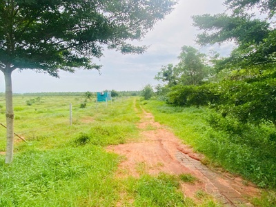 Bán 5 mẫu đất thổ cư đường nhựa thắng hải, hàm tân giá ngộp 380tr/ sào 4