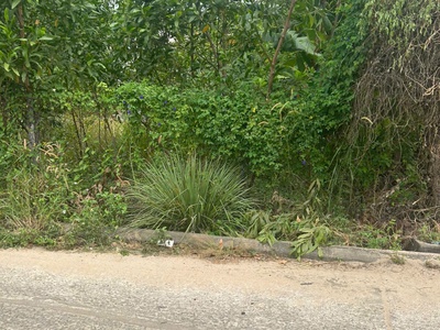 Bán 7m x 24m đất odt hẻm tôn đức thắng - lagi giá ngộp giảm 50 còn 1.3 tỷ 4