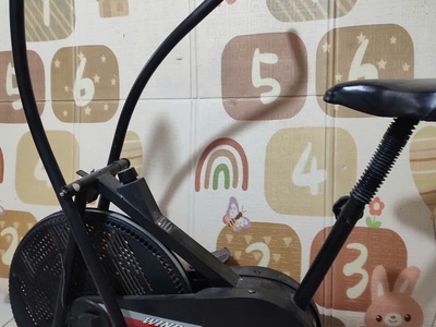 Cho thuê xe đạp , cho thuê máy chạy bộ điện 4