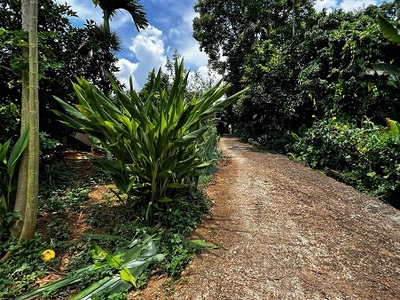 Bán đất đẹp gần khu du lịch thác trăng, tân lạc, hòa bình 0