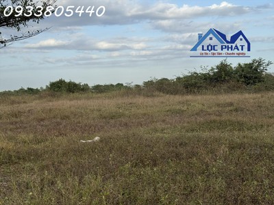 Bán đất kcn bình thuận 1 ha đến 400 ha chỉ 75 usd/m2 1