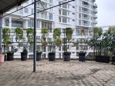 Thụy khuê 65m x4 tầng 19,5 tỷ-lô góc,20m ra phố,100m ra hồ tây 1