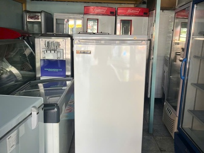 Thanh lý tủ đông đứng Alaska - dung tích tổng 210 lít 0