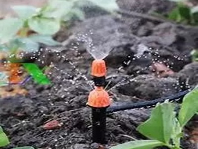 Combo 1 gồm 20 béc nhỏ giọt 8 tia 2