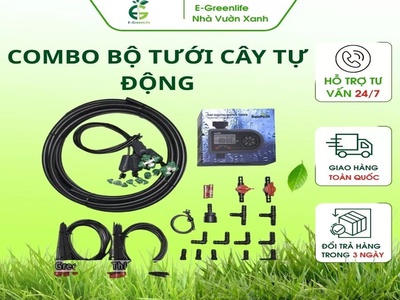 Combo 1 gồm 20 béc nhỏ giọt 8 tia 0