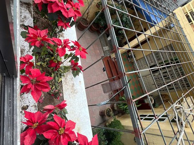 .Nhà 3 tầng Độc Lập - An Biên - Hải phòng 5