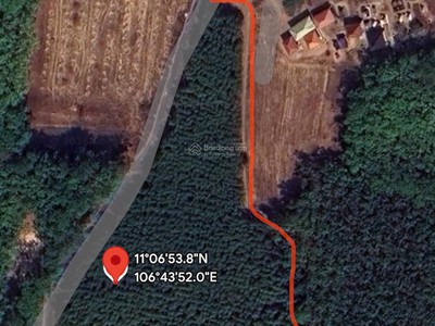 Chính chủ bán 7971m2 đất sẵn sổ duy nhất mặt tiền vành đai 4-tân uyên-bình dương 2