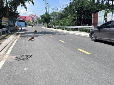 Siêu phẩm mặt tiền  củ chi: 1.800 m2 trục tỉnh lộ 15   ngang 25m đẳng cấp   điểm vàng đầu tư 0