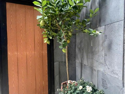 Bán tòa nhà 8 tầng mễ trì dòng tiền khủng 1