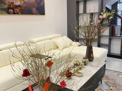 Bán nhà mặt phố triệu việt vương, 35m2, 3 tầng, 26 tỷ, vỉa hè rộng, kd đỉnh, dòng tiền 30tr/tháng 2