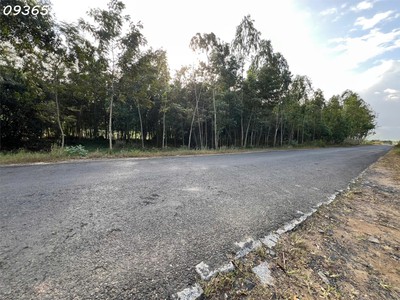 Siêu phẩm đất 3 mặt tiền    kẹp vàng  hiếm có tại ninh xuân 2