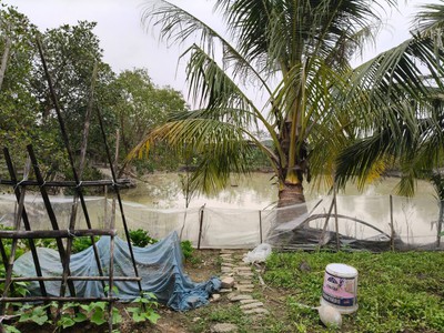 Hơn 13000m2, đất ruộng sxnn, sẵn nhà kho,.. mt150m, 6.5 tỷ, có tl, thụy lâm, đông anh.   đường 0