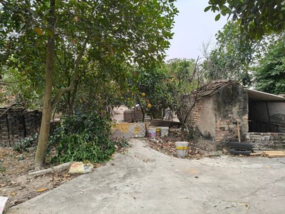 Hơn 13000m2, đất ruộng sxnn, sẵn nhà kho,.. mt150m, 6.5 tỷ, có tl, thụy lâm, đông anh.   đường 3