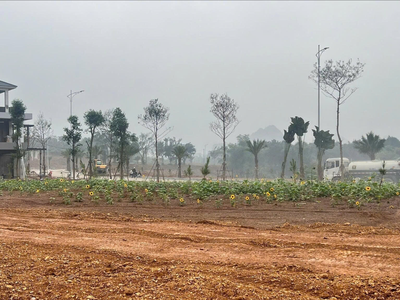 Chậm 1 nhịp - Mất cả một chu kỳ tăng giá tại UTOPIA 8