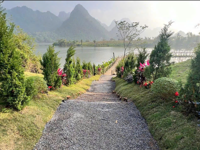 Chậm 1 nhịp - Mất cả một chu kỳ tăng giá tại UTOPIA 6