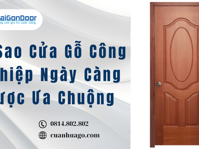 Vì Sao Cửa Gỗ Công Nghiệp Ngày Càng Được Ưa Chuộng 0