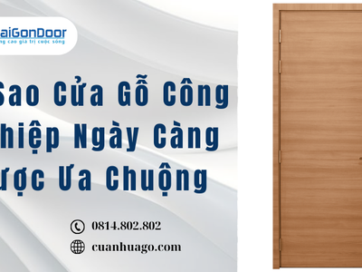 Vì Sao Cửa Gỗ Công Nghiệp Ngày Càng Được Ưa Chuộng 1