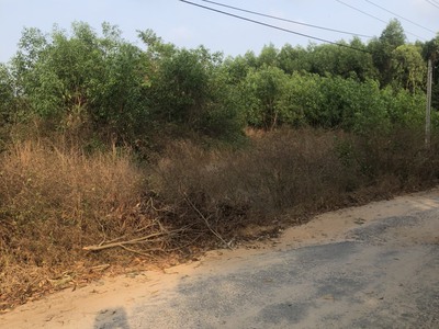 Bán 19m x 41m đất mặt tiền lý nam đế - tân phước - lagi giảm 50 còn 1.3 tỷ 3