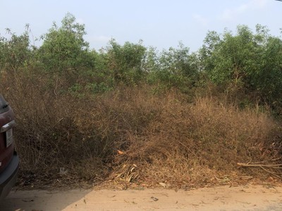 Bán 19m x 41m đất mặt tiền lý nam đế - tân phước - lagi giảm 50 còn 1.3 tỷ 1