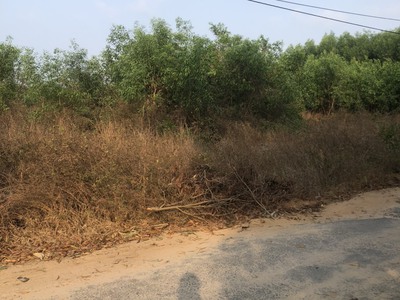 Bán 19m x 41m đất mặt tiền lý nam đế - tân phước - lagi giảm 50 còn 1.3 tỷ 4