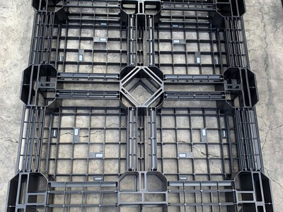  Cung Cấp Pallet Nhựa Giá Rẻ   Giá Cạnh Tranh Tại Long Xuyên  9