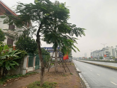 Bán đất mặt đường bùi viện - ngã 4 võ nguyên giáp - 242m - ngang 14m - giá 100 tr/m 2