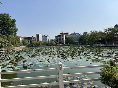 Cần bán 35m2 đất view hồ sen thoáng mát ngõ 303 Phúc Lợi. Đường ô tô tránh, gần chợ 3