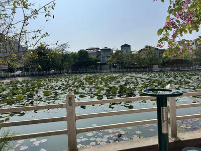 Cần bán 35m2 đất view hồ sen thoáng mát ngõ 303 Phúc Lợi. Đường ô tô tránh, gần chợ 5