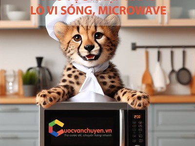 Thủ Tục Nhập Khẩu Lò Vi Sóng 0