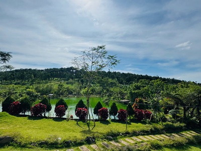 Mua Nhanh, Đất Bảo Lộc, Cách Hồ Chí Minh 2 Tiếng Đi Xe Giá Rẻ Chỉ Từ 1 Tỷ 2 3