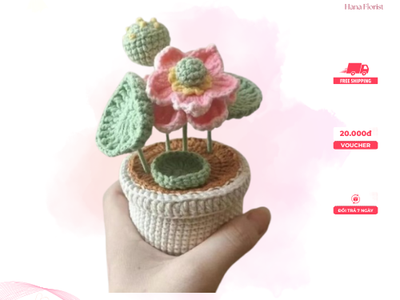 Cách móc chậu hoa sen đẹp tinh tế cho trang trí bàn học 0