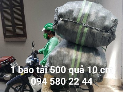 Bóng nhựa mềm nhiều màu cho bé vui chơi 16