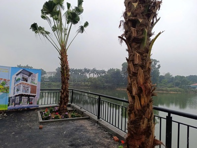 Bán 100m2 đất nền trại hồ giá 3, x tỷ 0