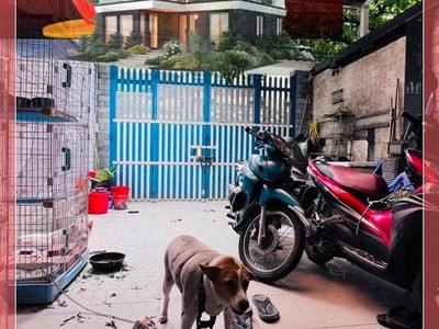 Nhà quận 8 giáp quận 1 ngang 5x25 dt 123m2 nguyễn thị tần 11 tỷ 5- 0931172218 0