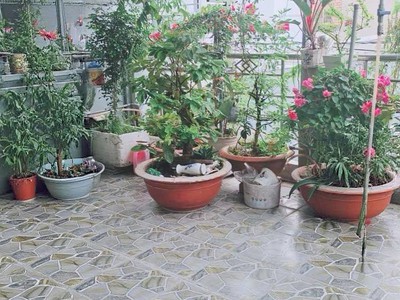  nhà sổ riêng hẻm 1716 huỳnh tấn phát, nhà bè - 3 tỷ 860 triệu  2