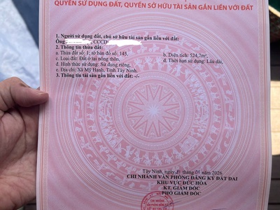 Bán siêu phẩm đất đẹp     phù hợp cho mọi gia đình 1