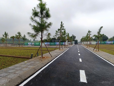 Bán 100m2 đất nền trại hồ giá 3, x tỷ 2