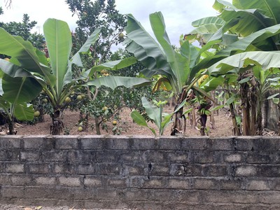 Đất gần bệnh viện Trung Ương Hùng Vương tại Cao Minh, Phúc Yên, Vĩnh Phúc, 100m2 đất ở. 2