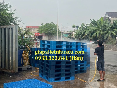  Chuyên Cung Cấp Pallet Nhựa Giá Rẻ   Giao Tại Hậu Giang  1
