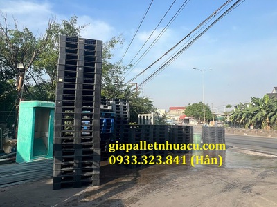  Chuyên Cung Cấp Pallet Nhựa Giá Rẻ   Giao Tại Hậu Giang  3