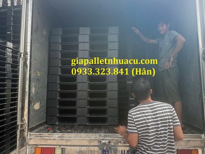  Chuyên Cung Cấp Pallet Nhựa Giá Rẻ   Giao Tại Hậu Giang  5