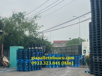  Chuyên Cung Cấp Pallet Nhựa Giá Rẻ   Giao Tại Hậu Giang  7