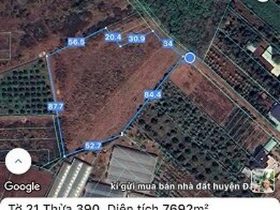 Bán 7692 m  đất xã long tân, đất đỏ, bà rịa   vũng tàu giá 3 tỷ/sào 4