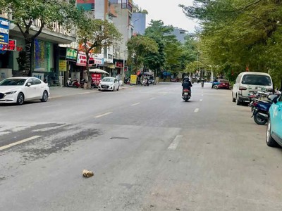 Nhà đẹp - giá tốt cần bán nhanh căn nhà ngay trung tâm xã ngọc hồi huyện thanh trì, tp hà nội 1