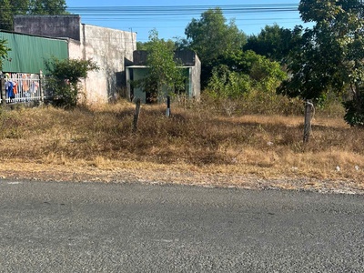 Bán 5m x 20m đất thổ cư đường nguyễn thông - lagi giá rẻ gần biển 0