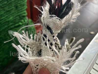 Dây đu sơn tường dây đu sơn nước 7