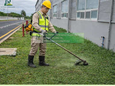 Cắt Cỏ Vệ Sinh Cảnh Quan Đồng Nai Chuyên Nghiệp 0